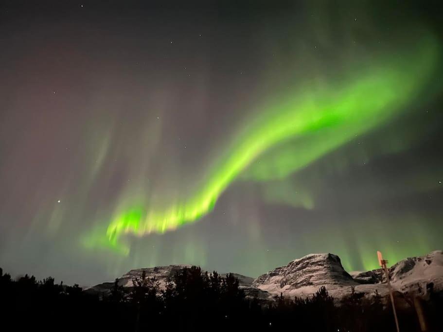 Cozy House In The Heart Of Tromsdalen. Central Τρόμσο Εξωτερικό φωτογραφία